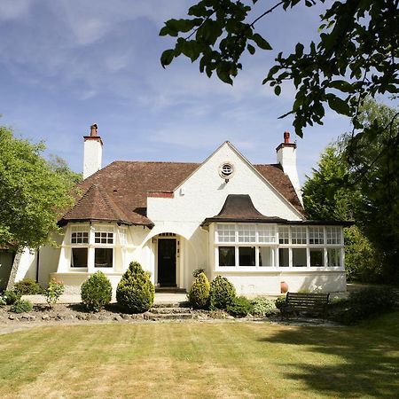 Daisybank Cottage Boutique Bed And Breakfast Brockenhurst Zewnętrze zdjęcie