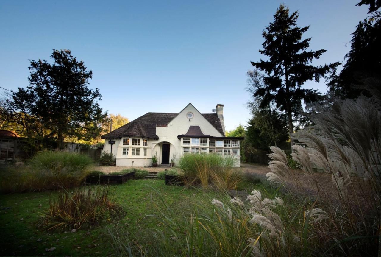 Daisybank Cottage Boutique Bed And Breakfast Brockenhurst Zewnętrze zdjęcie